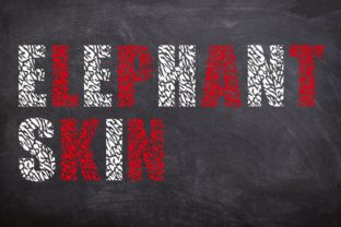 Elephant Skin Font Review for Real Projects