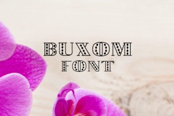 Font Choice That Speaks Volumes: How Buxom Elevates Your Campaigns